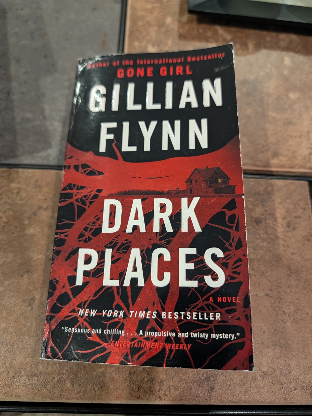 Gillian Flynn Dark Places Paperback - Black & Red Cover